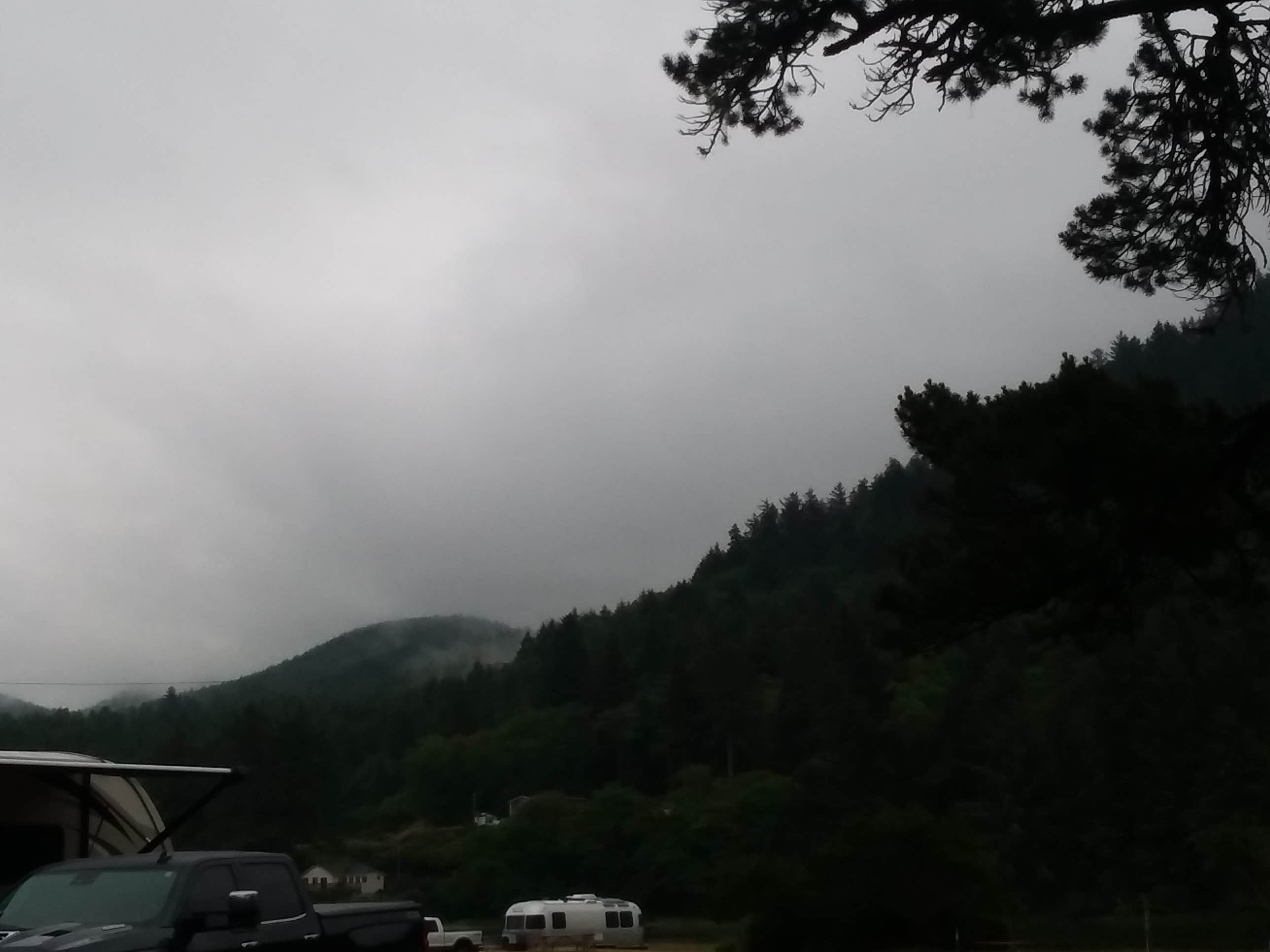 Camper submitted image from Tillamook County Whalen Island - 2