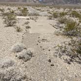 Review photo of Death Valley: Dispersed Camping East Side of Park by Laura M., April 8, 2022