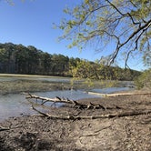 Review photo of Huntsville State Park Campground by Cari E., April 8, 2022