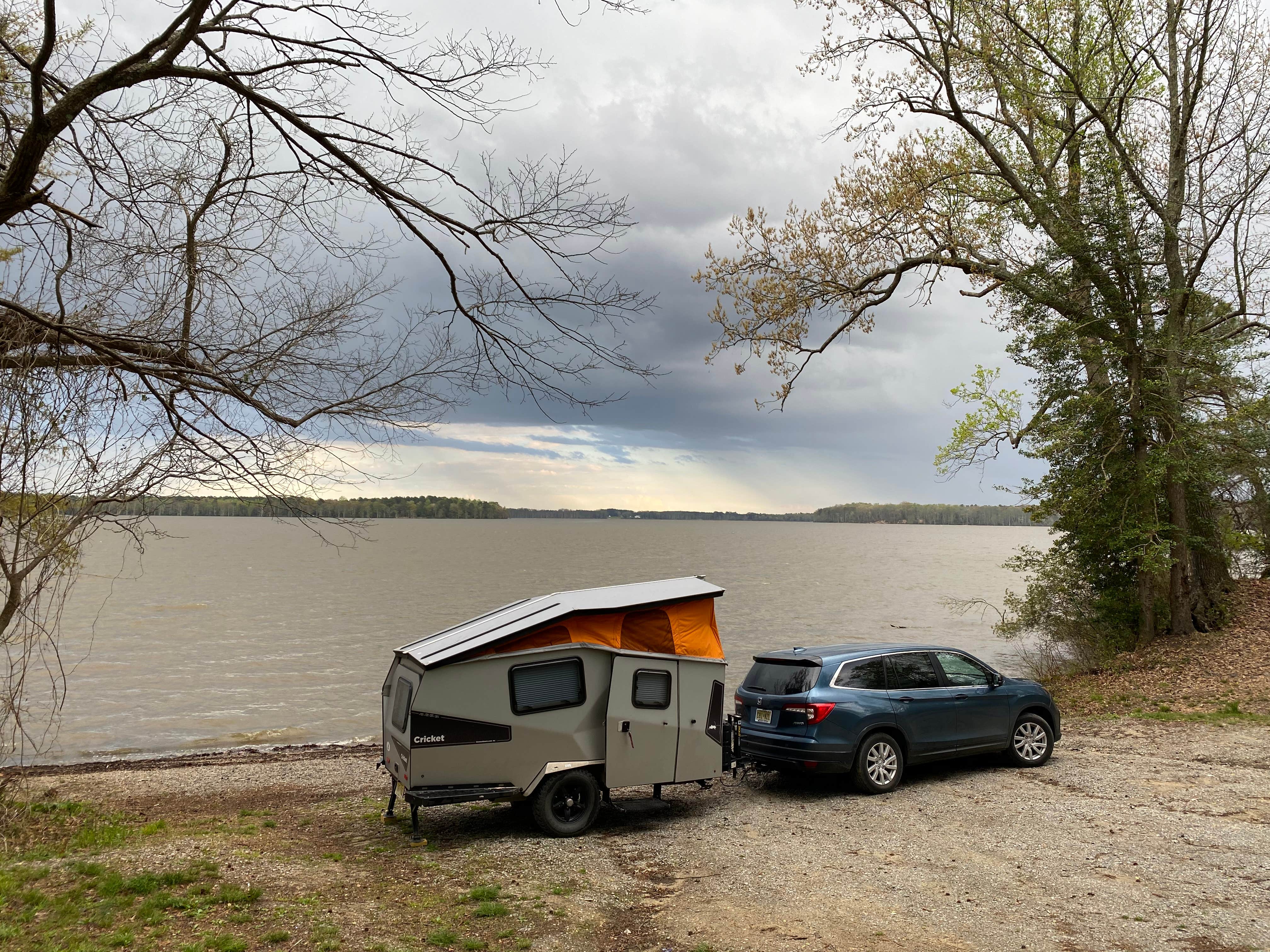 Camper-submitted photo at Chickahominy Wildlife Management Area Site (WMA) near Lanexa, VA