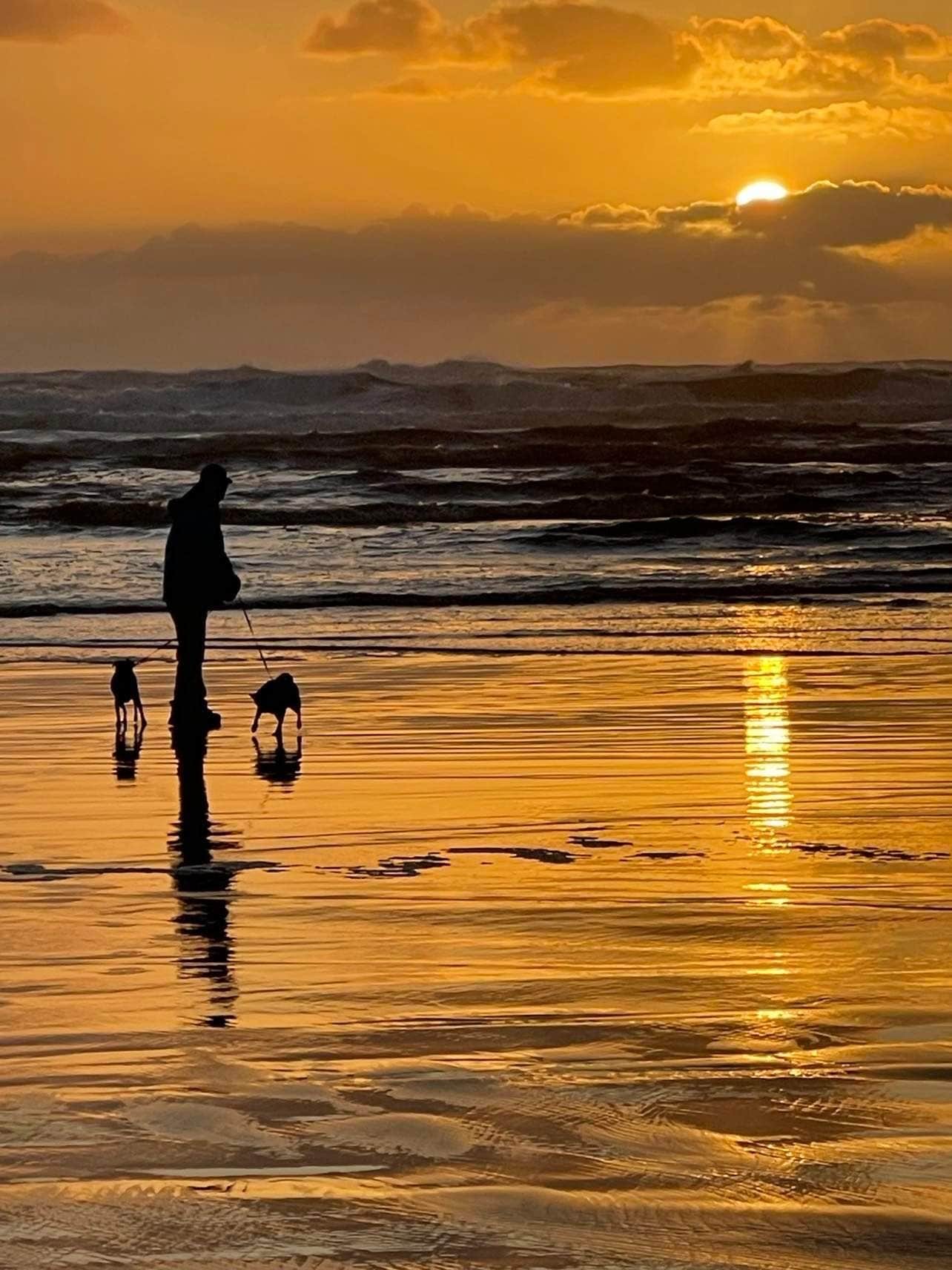 Camper-submitted photo at Cedars Inn Ritzville RV Park near Odessa, WA