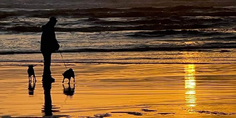 Camper submitted image from Cedars Inn Ritzville RV Park