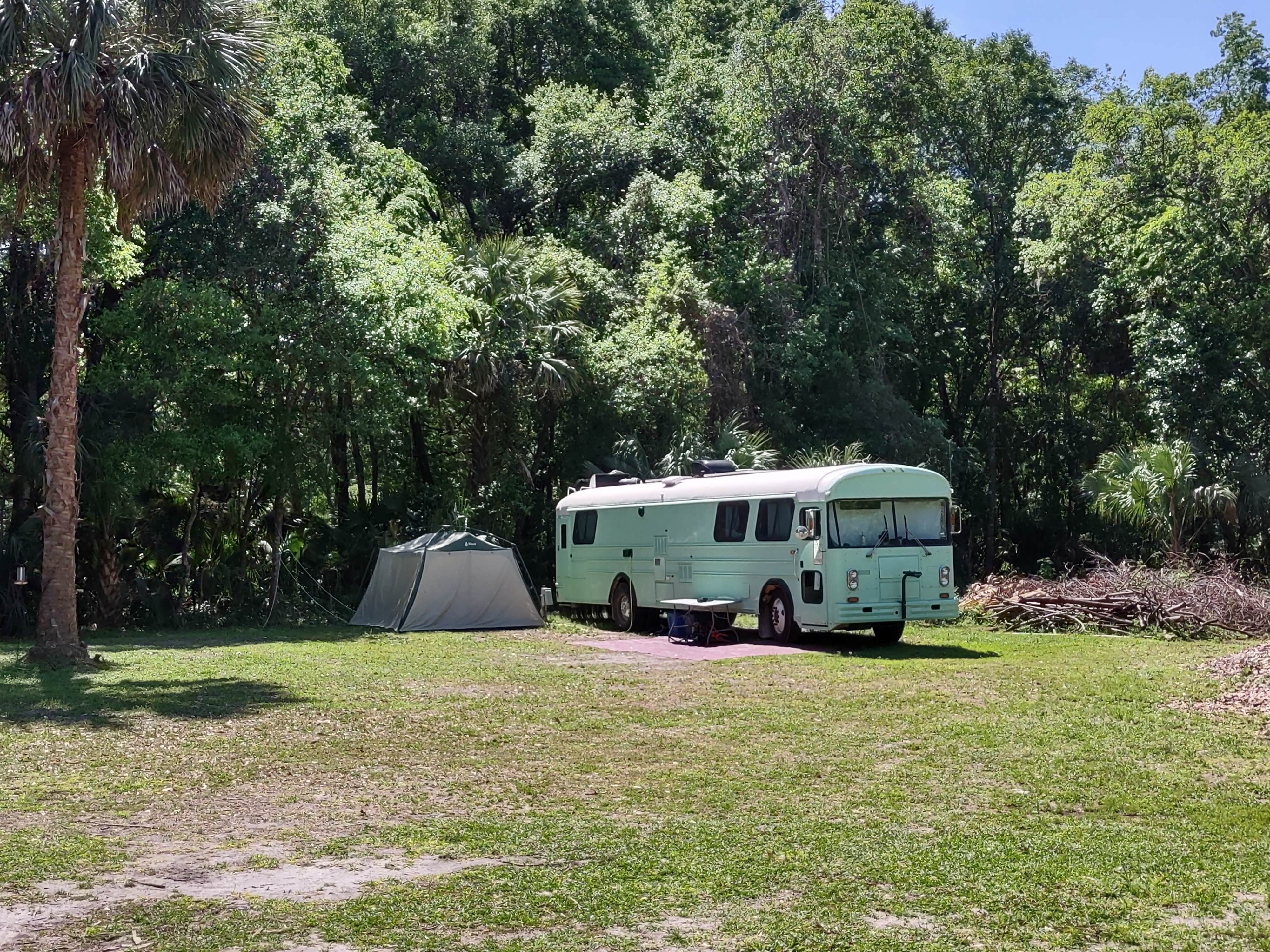 Camper-submitted photo at Citra Royal Palm RV Park near Citra, FL