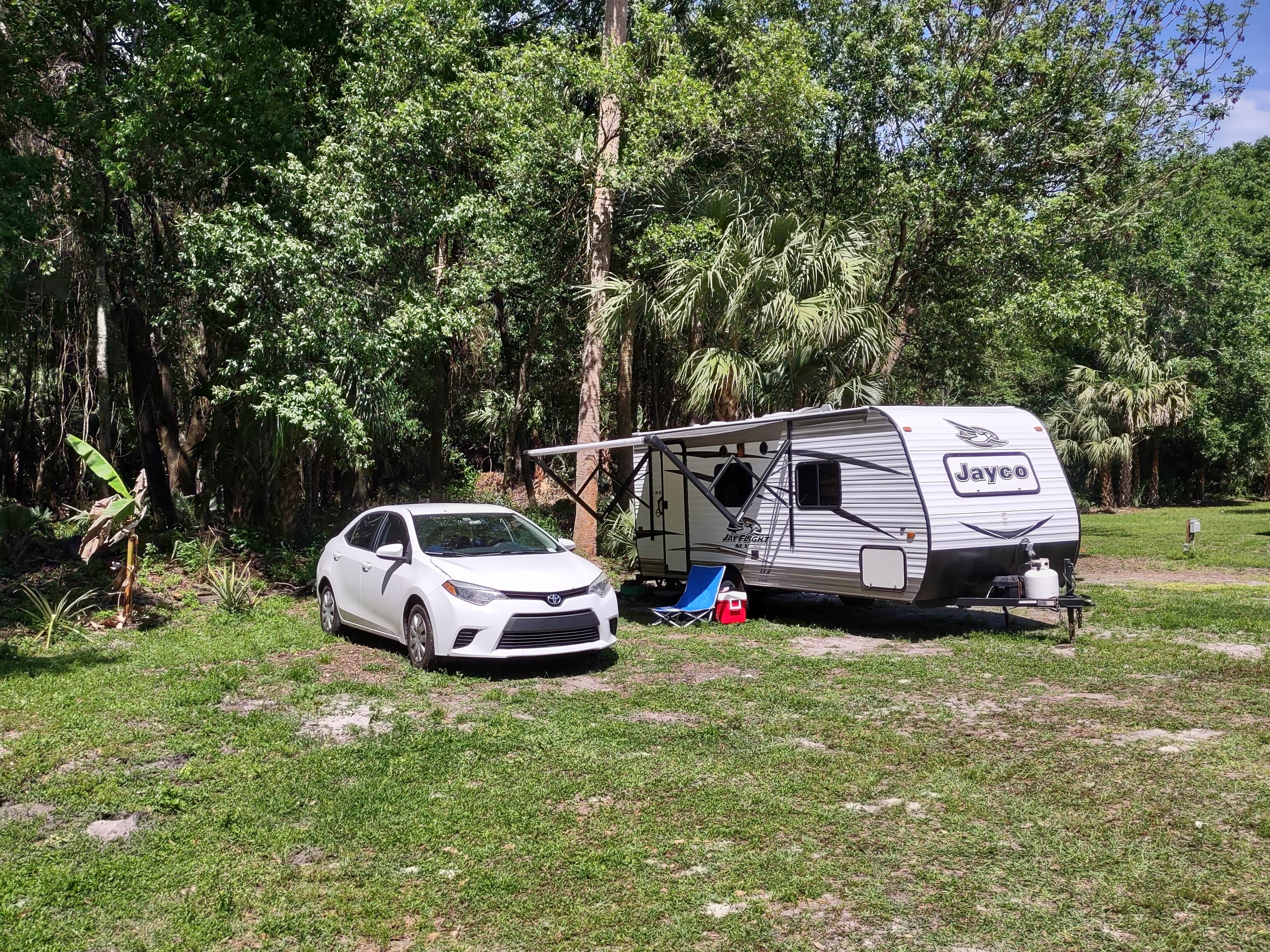 Camper-submitted photo at Citra Royal Palm RV Park near Citra, FL