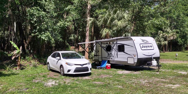 Camper submitted image from Citra Royal Palm RV Park