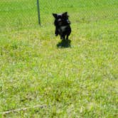 Review photo of COE Walter F George Lake White Oak Creek Campground by Kevin H., April 9, 2022