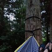 Review photo of Andy Guest/Shenandoah River State Park Campground by Teresa K., July 12, 2018