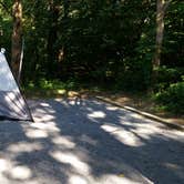 Review photo of Andy Guest/Shenandoah River State Park Campground by Teresa K., July 12, 2018