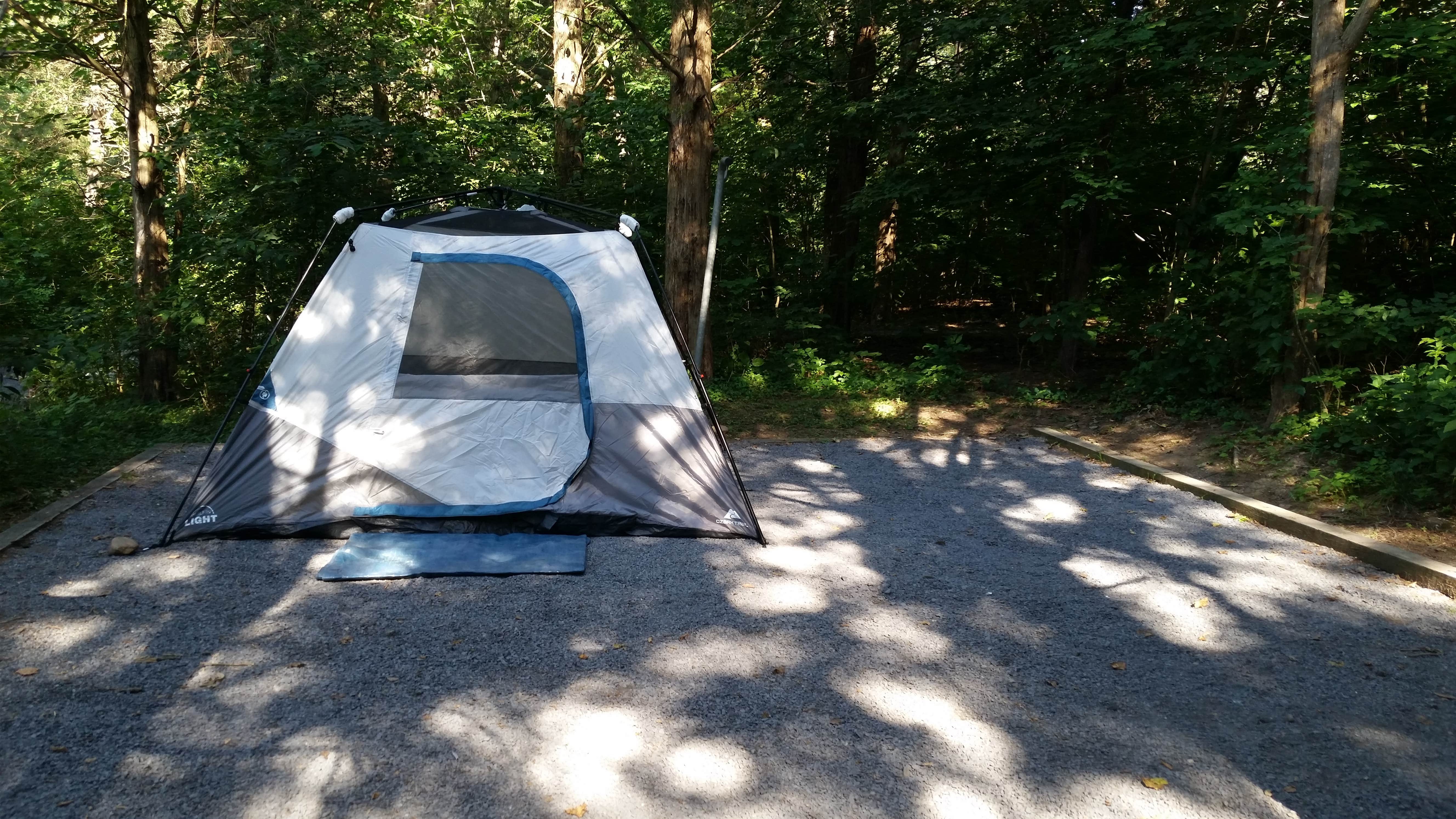 Camper submitted image from Andy Guest/Shenandoah River State Park Campground - 4