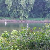 Review photo of Andy Guest/Shenandoah River State Park Campground by Teresa K., July 12, 2018