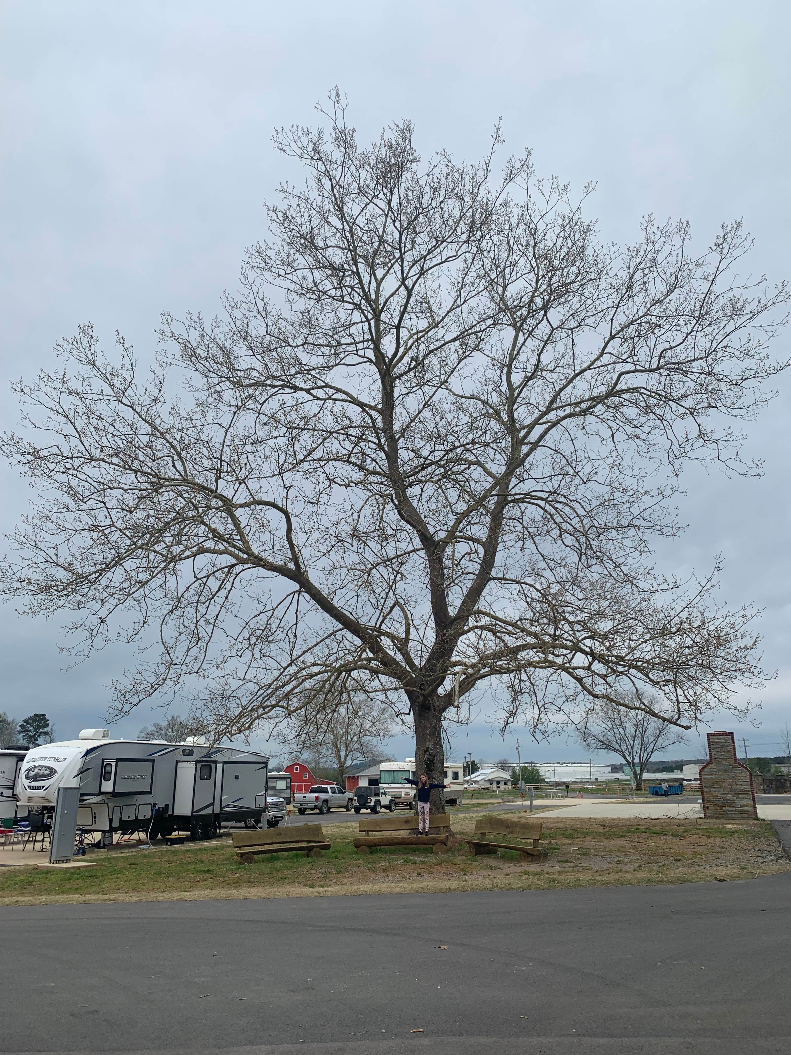 Camper-submitted photo at Palomino RV Resort near Cullman, AL