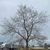 Review photo of Palomino RV Resort by Beth R., April 9, 2022