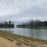 Review photo of Palomino RV Resort by Beth R., April 9, 2022
