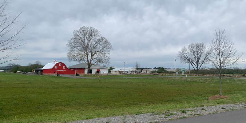 Camper submitted image from Palomino RV Resort