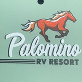Review photo of Palomino RV Resort by Beth R., April 9, 2022