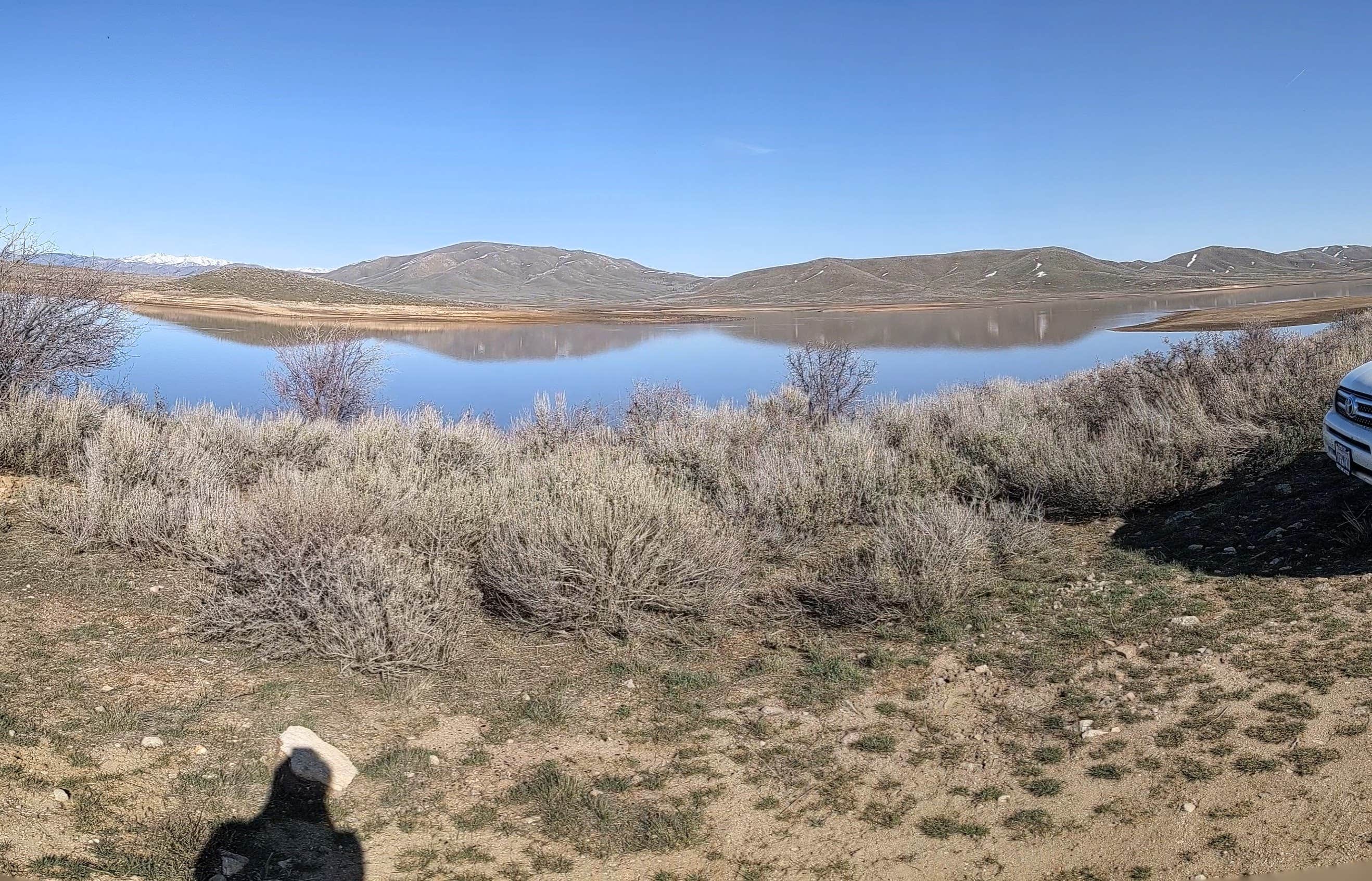 Amber R.'s photo of a dispersed camping area at Little Camas Reservoir near Bruneau, ID