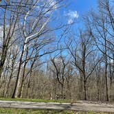 Review photo of Harmonie State Park Campground by Kim C., April 9, 2022