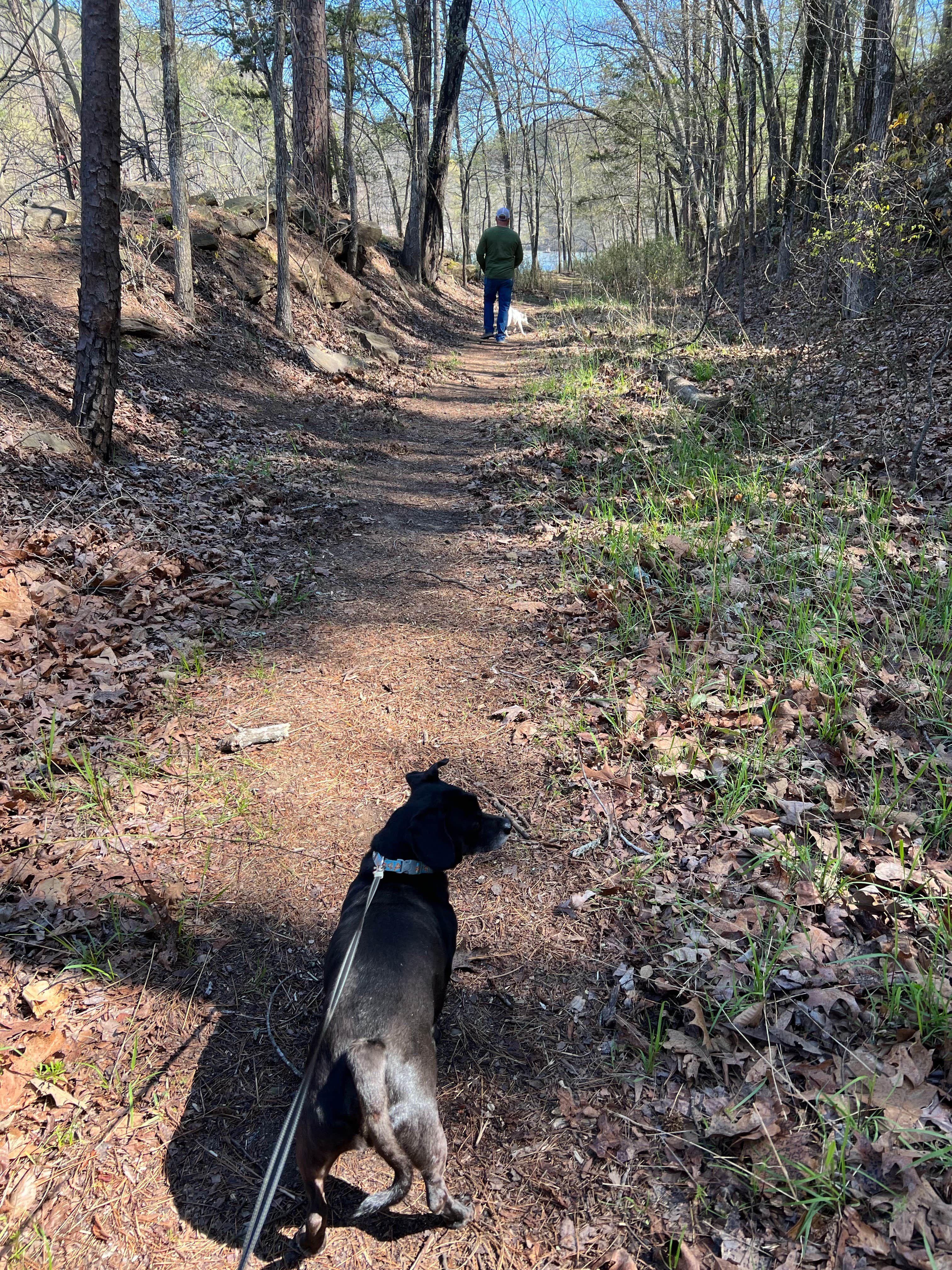 Camper submitted image from Shoal Bay - 4