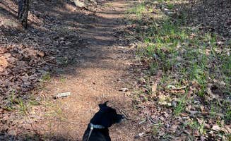 ladona's photo of camping with pets at Shoal Bay near Lake Dardanelle