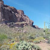 Review photo of Peralta Canyon / Gold Canyon Dispersed Camping by Erin H., April 9, 2022