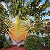 Review photo of Grassy Key RV Park & Resort by robin F., April 9, 2022