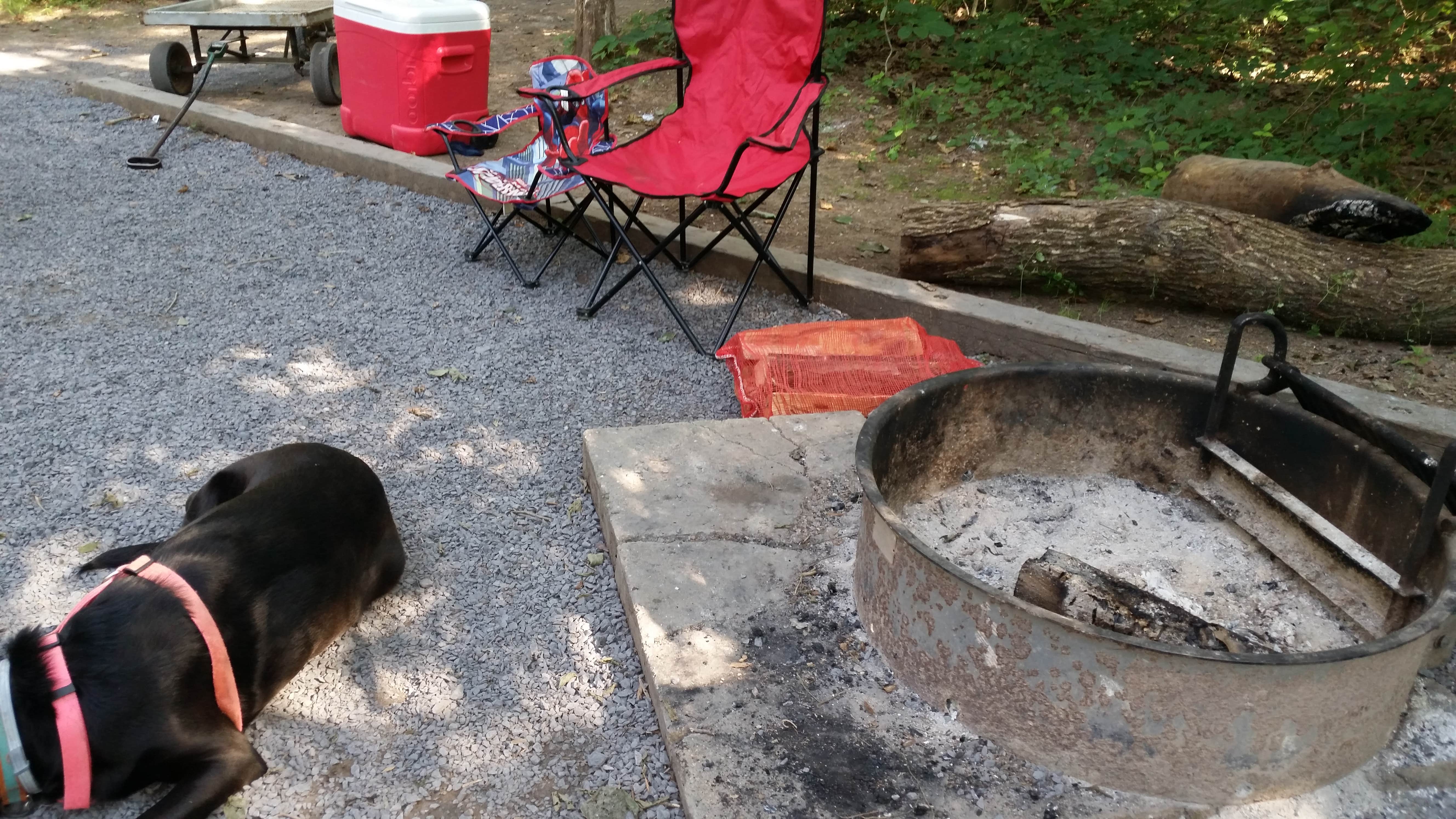 Camper submitted image from Andy Guest/Shenandoah River State Park Campground - 3