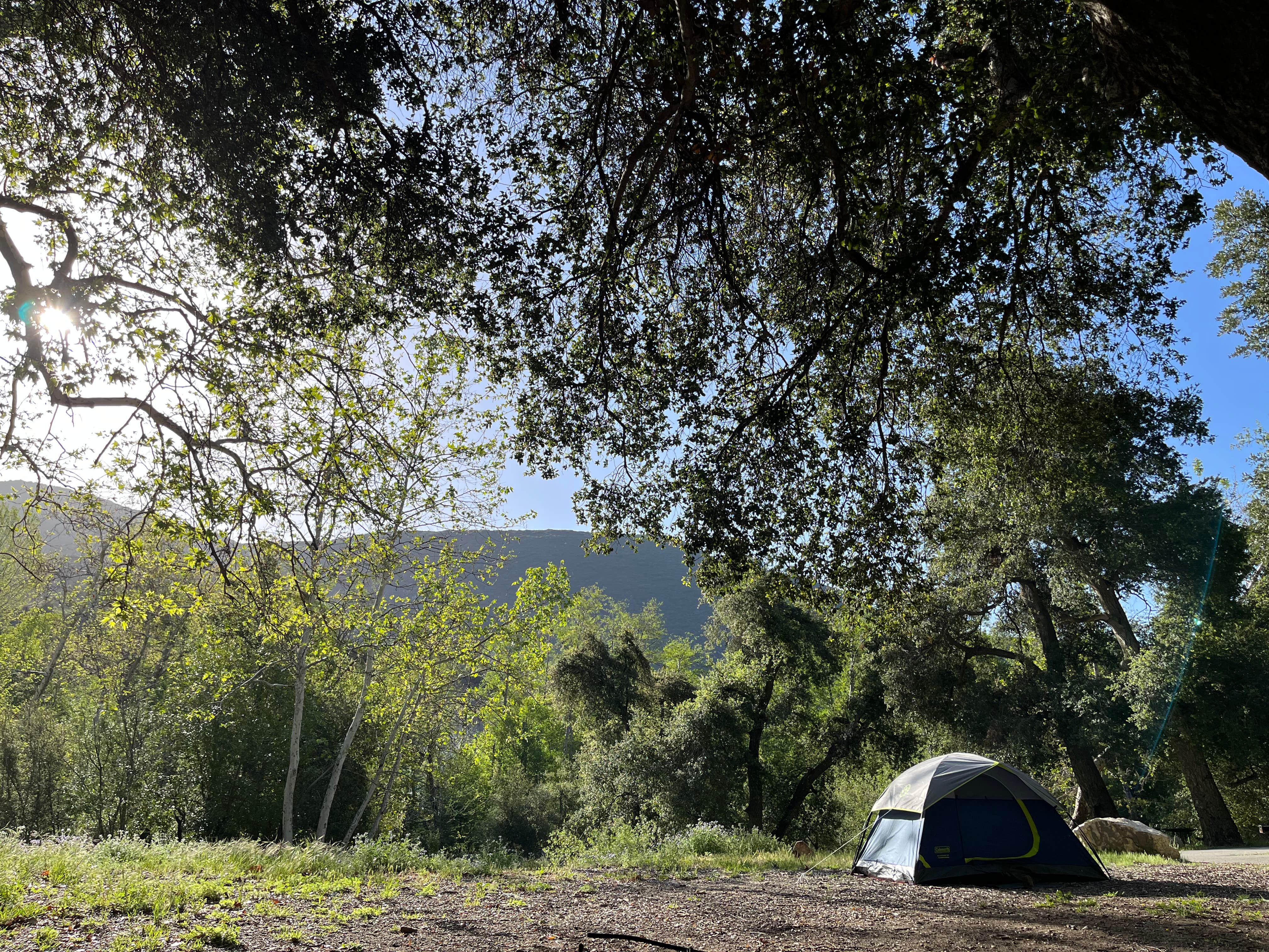 Camper-submitted photo at Coldbrook Campground near Mount Baldy, CA