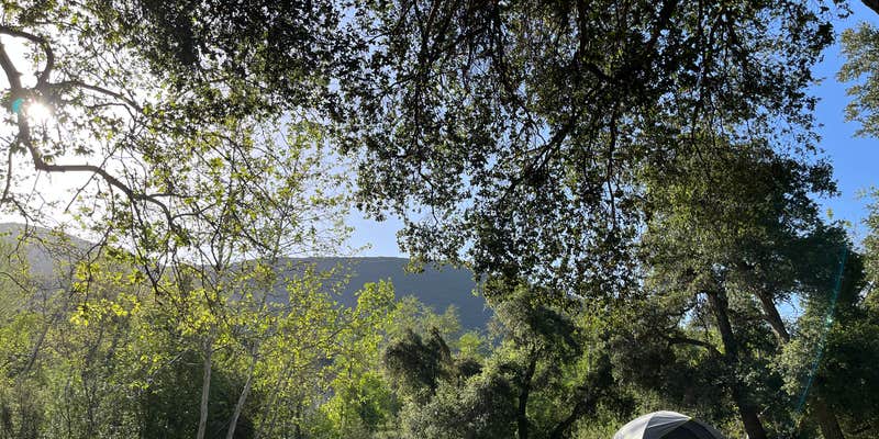 Camper submitted image from Coldbrook Campground