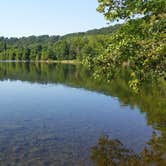 Review photo of Andy Guest/Shenandoah River State Park Campground by Teresa K., July 12, 2018