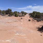 Review photo of BLM Middle Fork Shafer Canyon Dispersed by Greg L., April 9, 2022