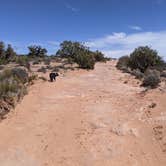 Review photo of BLM Middle Fork Shafer Canyon Dispersed by Greg L., April 9, 2022