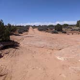 Review photo of BLM Middle Fork Shafer Canyon Dispersed by Greg L., April 9, 2022