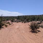 Review photo of BLM Middle Fork Shafer Canyon Dispersed by Greg L., April 9, 2022