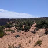 Review photo of BLM Middle Fork Shafer Canyon Dispersed by Greg L., April 9, 2022