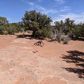 Review photo of BLM Middle Fork Shafer Canyon Dispersed by Greg L., April 9, 2022