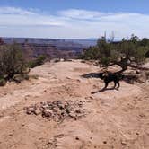 Review photo of BLM Middle Fork Shafer Canyon Dispersed by Greg L., April 9, 2022