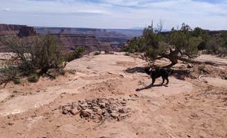Greg L.'s photo of camping with pets at BLM Middle Fork Shafer Canyon Dispersed near Canyonlands National Park