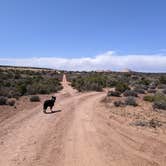 Review photo of BLM Middle Fork Shafer Canyon Dispersed by Greg L., April 9, 2022