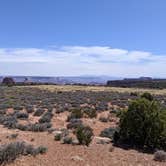 Review photo of BLM Middle Fork Shafer Canyon Dispersed by Greg L., April 9, 2022