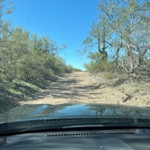 Review photo of Ironwood Forest BLM North Pump Station Rd Dispersed by Sean , April 10, 2022