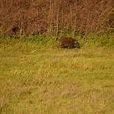 Review photo of Coyote Lake Harvey Bear Ranch County Park by Marco B., April 10, 2022