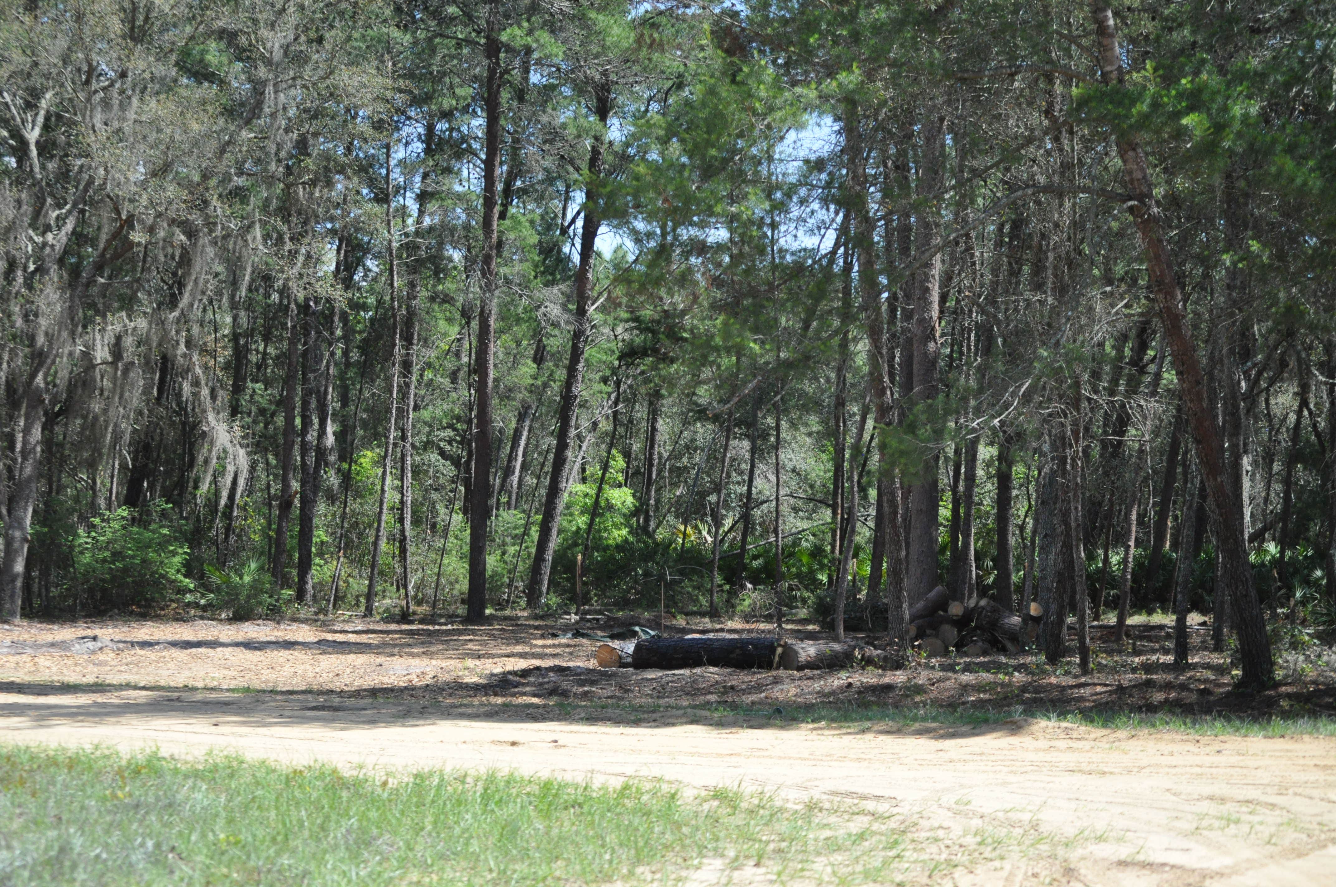 Camper-submitted photo at Connors Family Campsite near Orange Park, FL