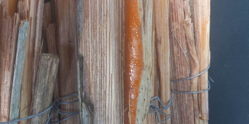 Camper submitted image from Connors Family Campsite