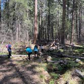 Review photo of Upper Pines Campground — Yosemite National Park by Grace M., April 10, 2022