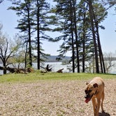 Review photo of Harris Brake Lake by Kyle C., April 10, 2022