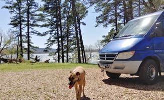 Kyle C.'s photo of camping with pets at Harris Brake Lake near Arkansas River - Terry Lock and Dam