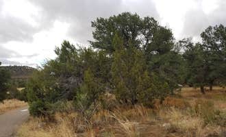 Camping near Gallinas River Campground — Storrie Lake State Park: Iron Gate Campground, Tererro, New Mexico