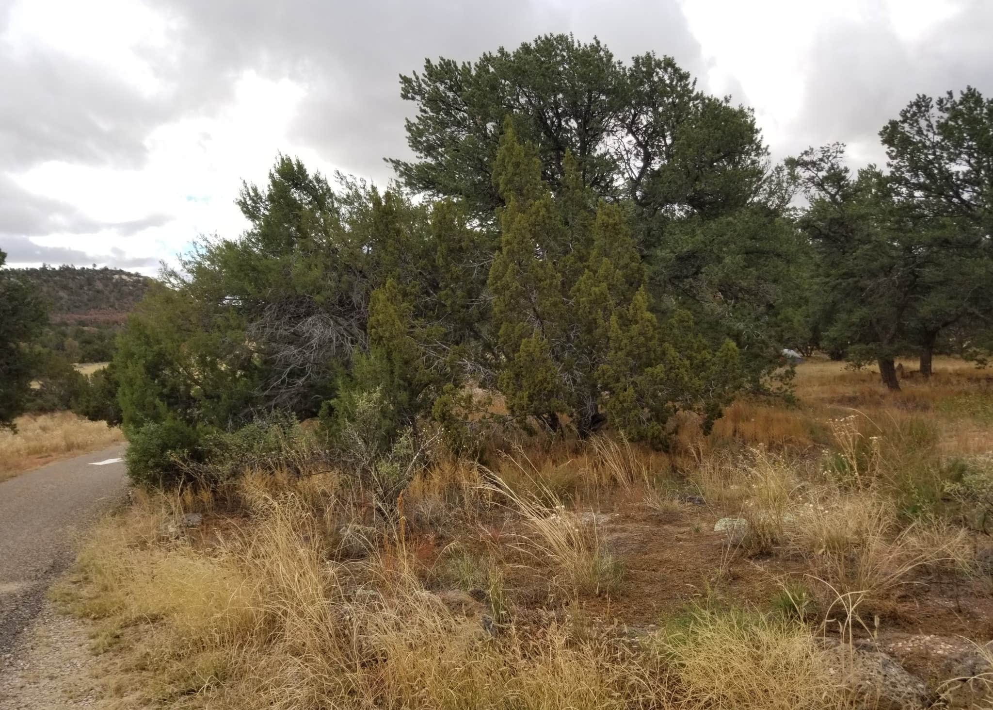 Iron Gate Campground Camping The Dyrt