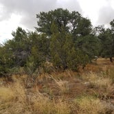 Review photo of Iron Gate Campground by Frank and Olga C., April 10, 2022