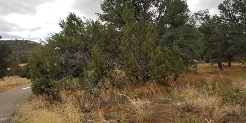 Camper submitted image from Iron Gate Campground